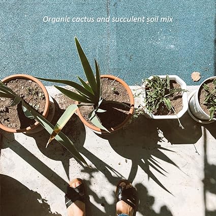 10 Quart Hoffman 10404 Organic Cactus and Succulent Soil Mixed Potting Soil