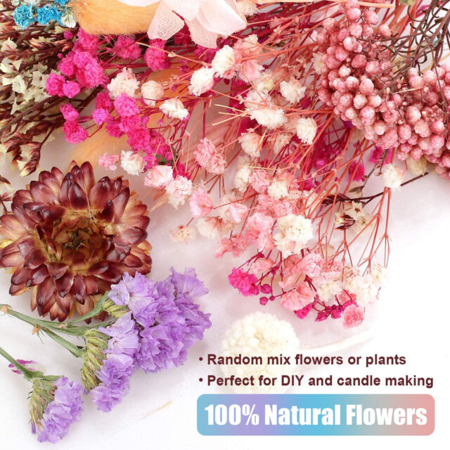 Mixed Dried Flowers DIY Specimen Plant Aromatherapy Candle Resin Making Craft US