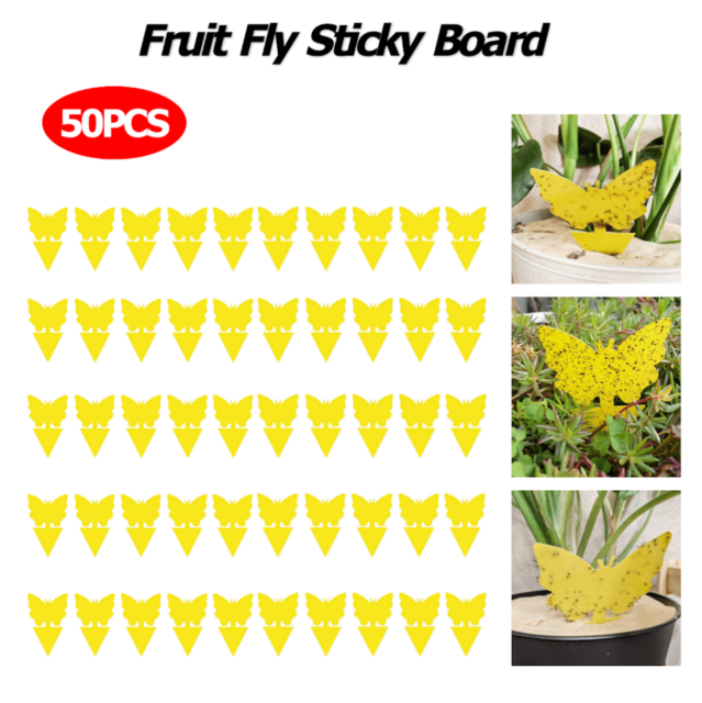 50 Pcs Sticky Fruit Fly Traps, Fungus Gnat Killer Trap use for Indoor Outdoor