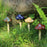Danmu Garden Decor, 4 pieces Ceramic Mushroom for Garden, Yard
