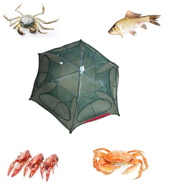 Fishing Bait Trap Crab Net Crawdad Shrimp Cast Dip Cage Fish Minnow Foldable NEW