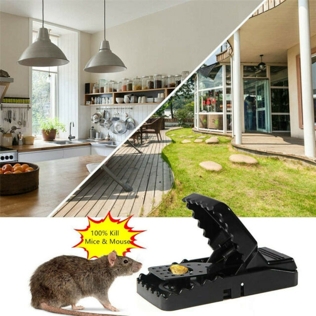 6-PACK Reusable MOUSE TRAPS Rodent Snap Trap Mice Trap