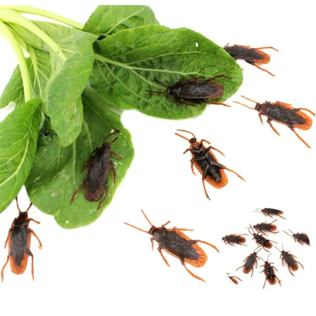 40 Prank Cockroaches Realistic Cock Roach Rubber Fake Creepy Bugs Gag Toy Joke