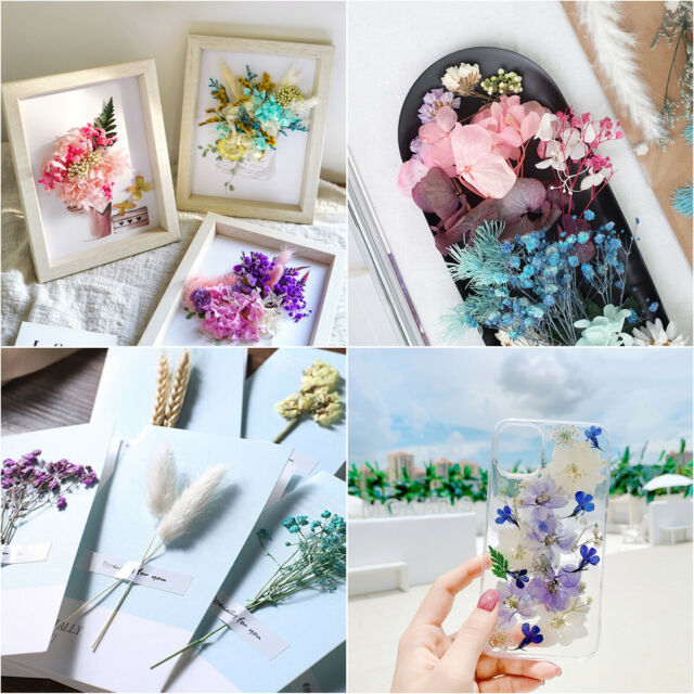 Mixed Dried Flowers DIY Specimen Plant Aromatherapy Candle Resin Making Craft US
