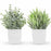 2 Packs Small Fake Plants Mini Artificial Potted Plants for Home Office Decor