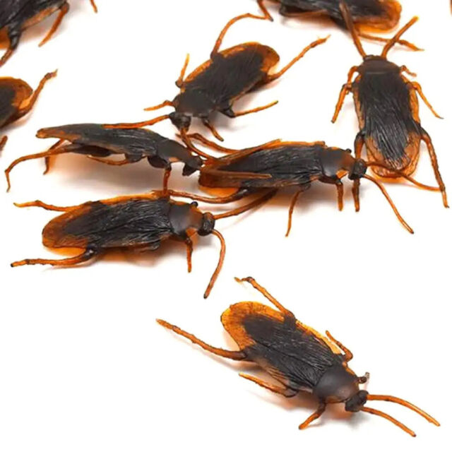 40 Prank Cockroaches Realistic Cock Roach Rubber Fake Creepy Bugs Gag Toy Joke