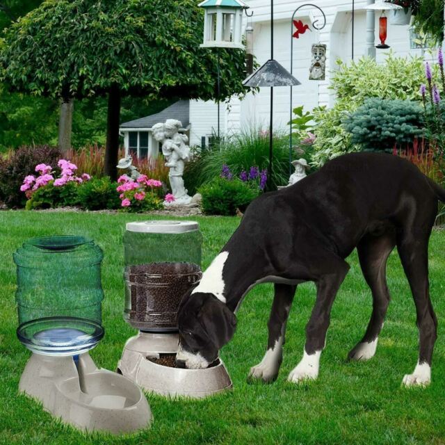 Self Dispensing Pet Dog Cat Food Feeder And Waterer Dispenser