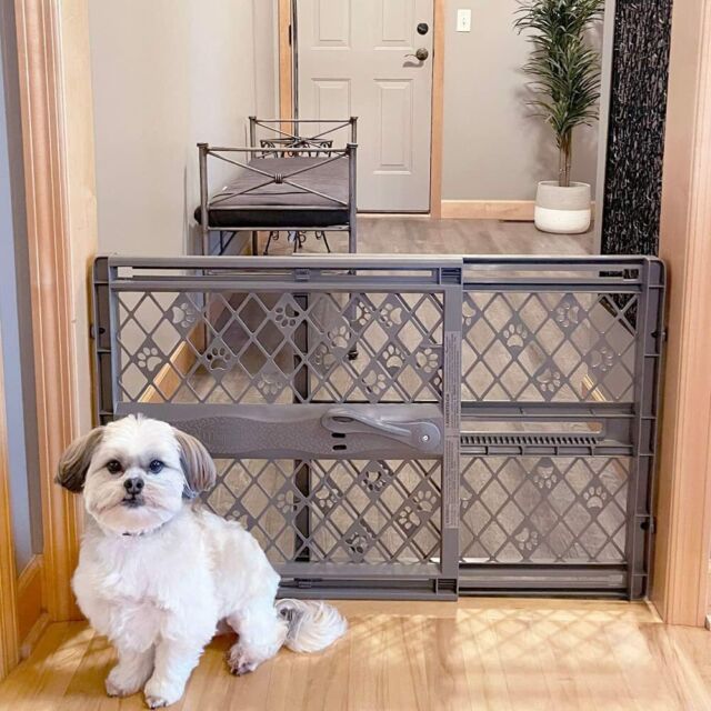 40" Retractable Safe Portable Pet Gate Dog Cat Barrier Guard Fits 26" - 40" wide