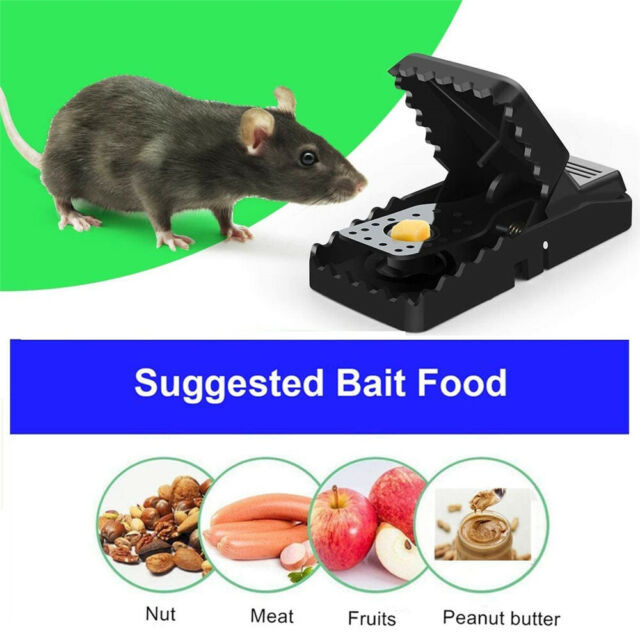6-PACK Reusable MOUSE TRAPS Rodent Snap Trap Mice Trap