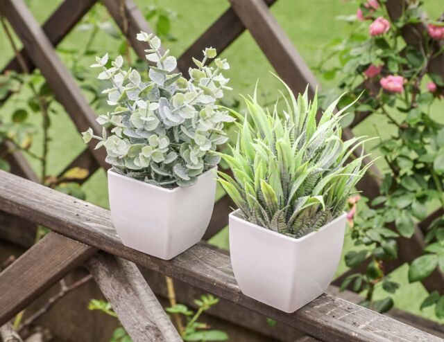 2 Packs Small Fake Plants Mini Artificial Potted Plants for Home Office Decor